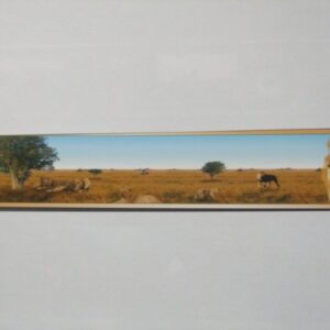 AsCr digi behangrand lions xxl leeuwen bruin blauw