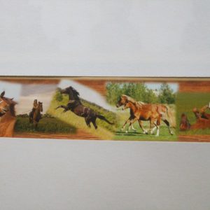 AsCr digi behangrand paarden xxl bruin groen zwart