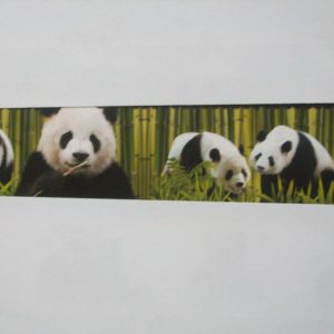 AsCr digi behangrand panda xxl bruin wit zwart