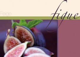 AsCr Fotowand XXL Fig meloen+tekst rood blauw