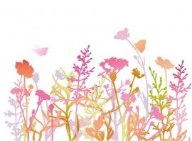 AsCr Fotowand XXL Flowering bloemetjes geel roze