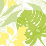 ascr-fotowand-xxl-leaf-bladeren-wit-geel-groen-1