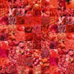 ascr-fotowand-xxl-red-bloemen-rood-1