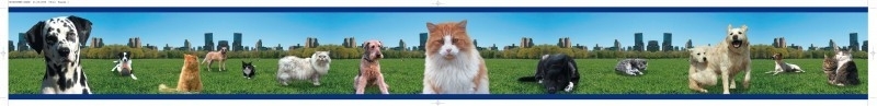 Behangrandje Hond en Poes 106