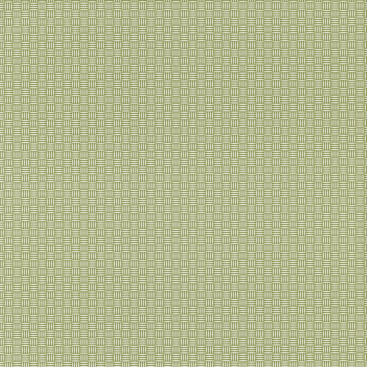 Caselio Jungle behang 100007303