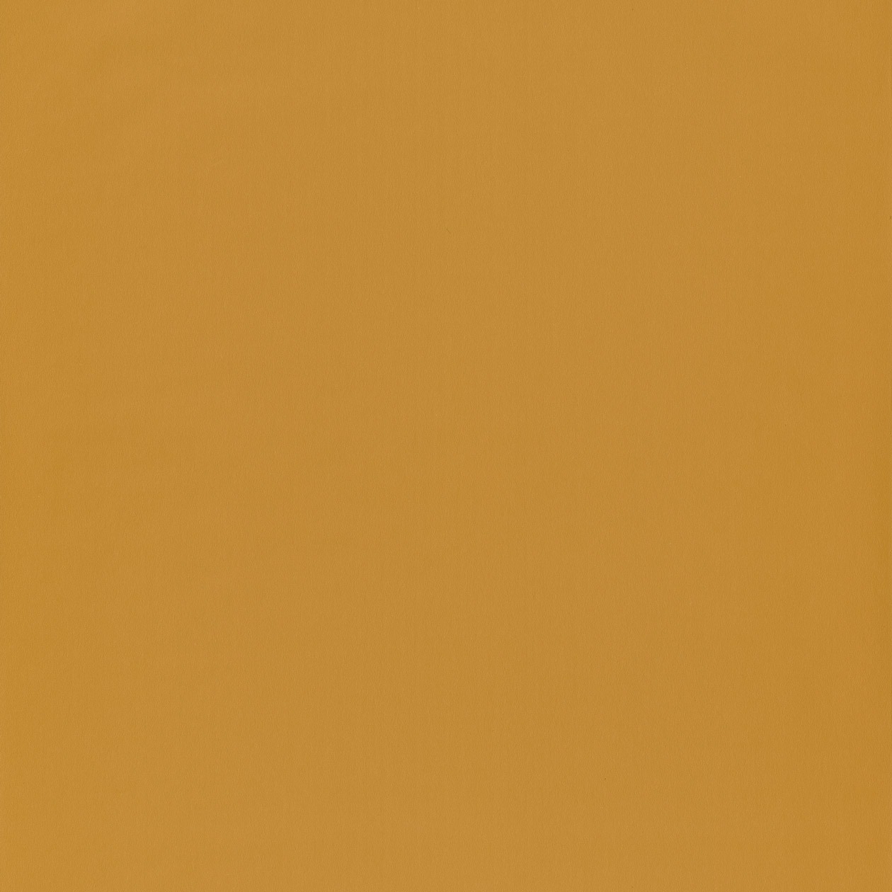 Caselio Jungle behang uni dessin 69863210