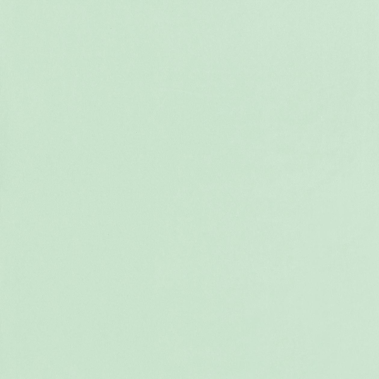 Caselio Jungle behang uni dessin 69867910