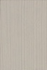 Eggshell of Matt - NN11 Calico