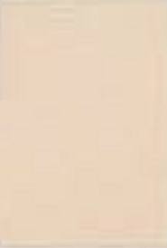 Eggshell of Matt - P15 Cameo