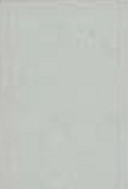 Eggshell of Matt - P61 Sage