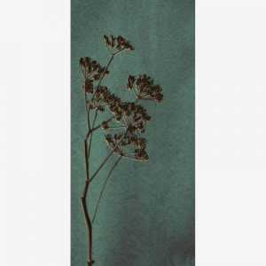 Eijffinger Lino Fotobehang met  tak 379104