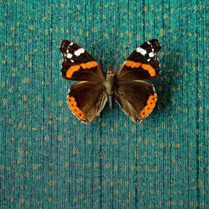 Eijffinger Masterpiece behang 358061