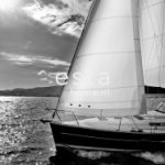 esta-regatta-crew-fotowand-sailing-boat-zeilboot-1