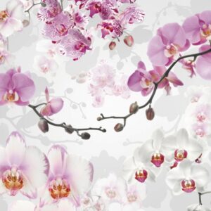 Flowers en Texture s fotobehang Allure