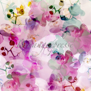Fotobehang Color Choc met bloemen INK6073
