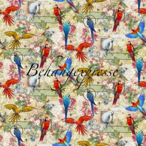 Fotobehang Color Choc met Papegaaien INK6077