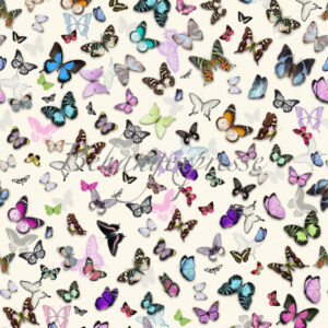 Fotobehang Color Choc met vlindertjes INK6072