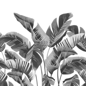 Esta fotobehang grote bananenbladeren zwart wit 158907