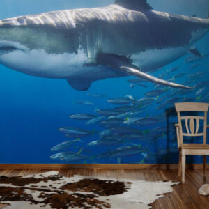 Fotowand XXL met  Haai 470685