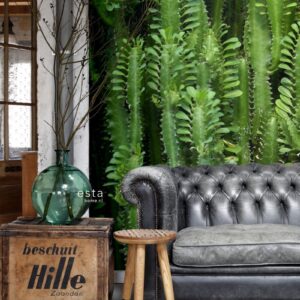 Esta Greenhouse Fotowand XXL  Tropische Jungle Cactus Wand 158830