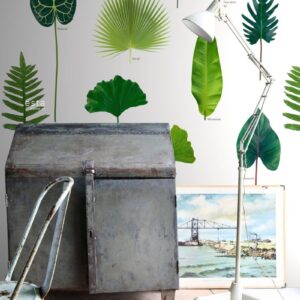 Esta Greenhouse Fotowand XXL tropisch Jungle groen 158831