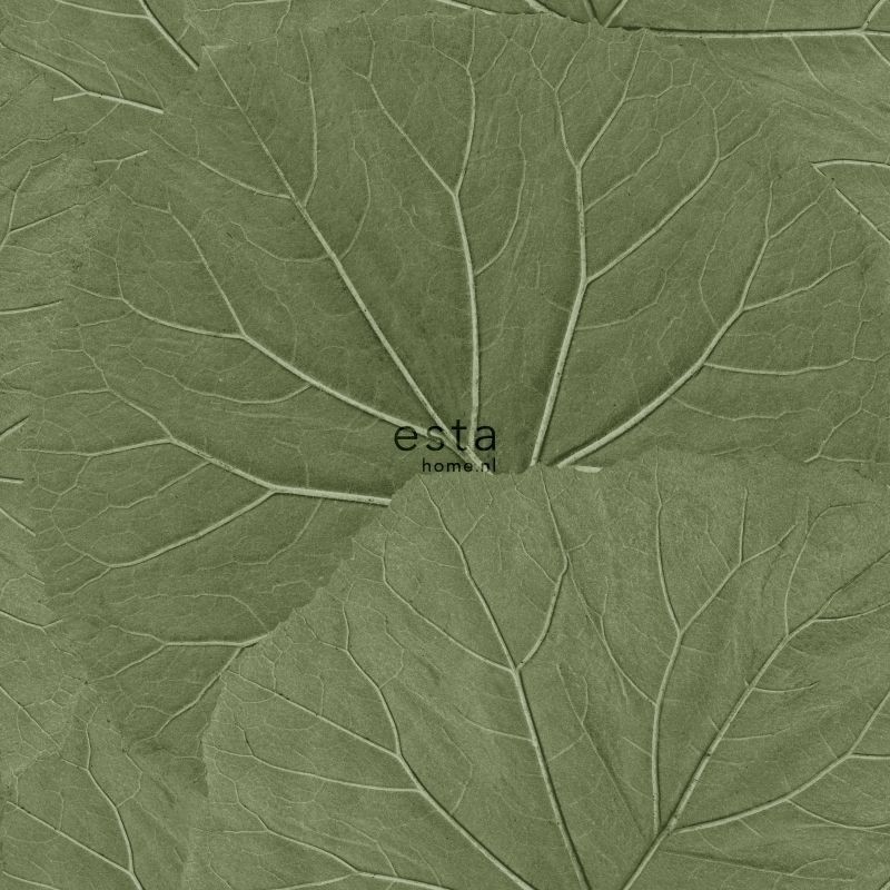 Welp Jungle Fever behang met grote bladeren olfijgroen 138995 - Esta IA-81