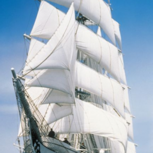 Komar deurposter Sailing zeilboot wit blauw