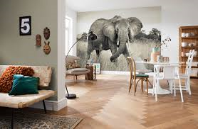 Komar Fotowand Elephant