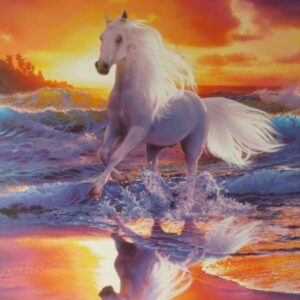 Komar fotowand Free Spirit paard op strand wit