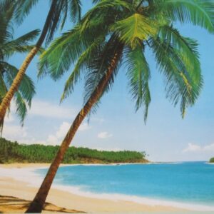Komar fotowand Ile Tropical strand+palmen blauw