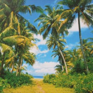 Komar fotowand Island in the sun groen blauw