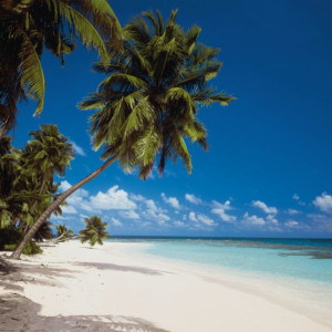 Komar fotowand Malediven palm+strand blauw