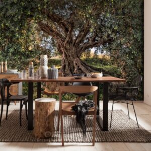 Komar fotowand Olive Tree 8-531