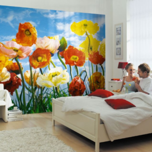 Komar fotowand Poppy bloemen geel rood