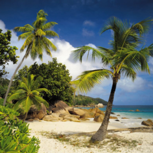 Komar fotowand Praslin Palmen+strand blauw