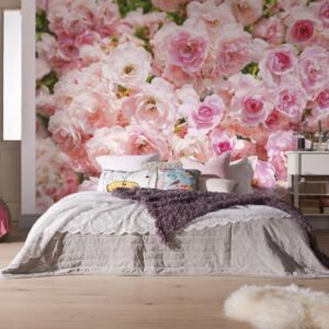 Komar fotowand Rosa 8-937