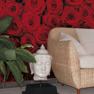 Komar fotowand Roses