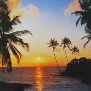 Komar fotowand Sundown eiland+palmen oranje
