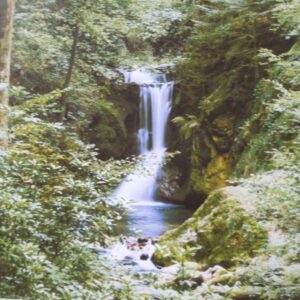 Komar fotowand Waterfall in Spring groen blauw