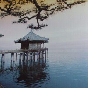 Komar fotowand Zen zee+planten blauw groen
