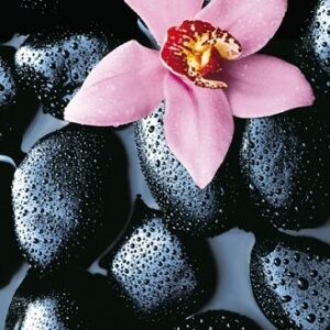 Komar MM fotowand bloem roze