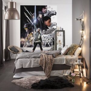Komar Star Wars fotowand Balance