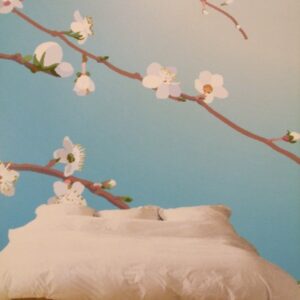 Noordwand fotowand div. Blossom takje