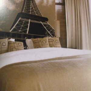 Noordwand fotowand div. Eiffel Tower bruin