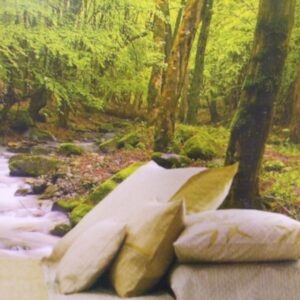 Noordwand fotowand div. Green Forest by a River
