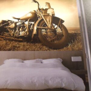 Noordwand fotowand div. Harley motor bruin