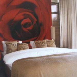 Noordwand fotowand div. Red rose rood
