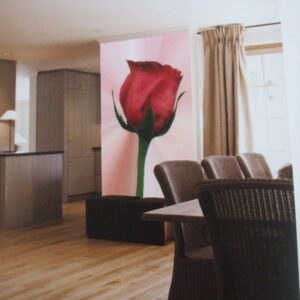 Noordwand fotowand div. Rose rood