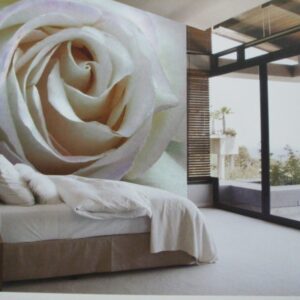 Noordwand fotowand div. White Rose roos wit