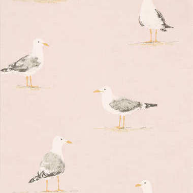 Port Isaac behang met kust vogel 216562